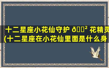 十二星座小花仙守护 🌲 花精灵(十二星座在小花仙里面是什么身份)